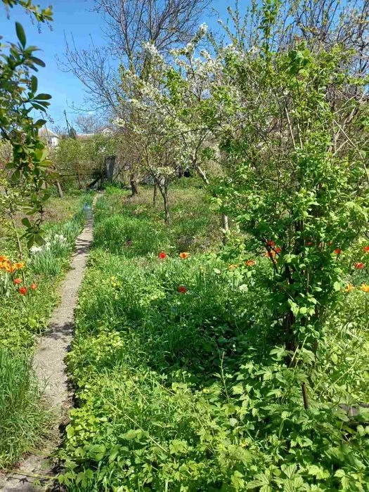 Продам дачу в Самарському районі м.Дніпра