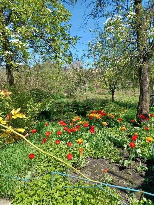 Продам дачу в Самарському районі м.Дніпра