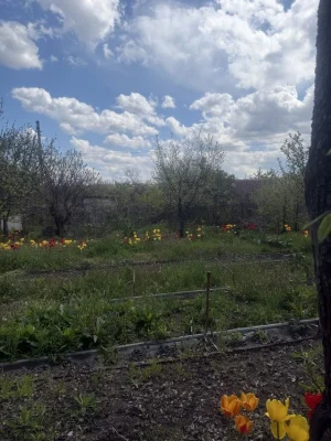Продам дачу у Таромському