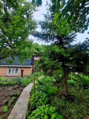 Продам будинок пр.т Науки