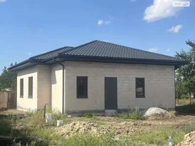 Продаж Дім Амур-Нижньодніпровський