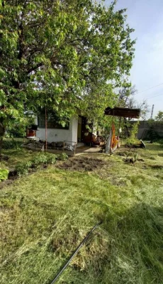 Продам дачу Приднепровск Самарский  Виноградник-4