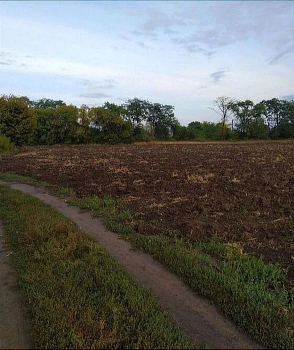 Продаж земельної ділянки на 15 соток ( 22500 $) та 62 сотки