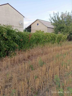 Продам дом (Елизаветовка).