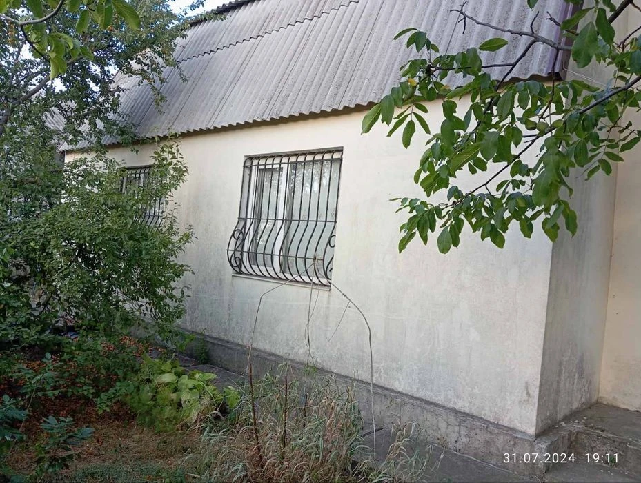 Продам дом (Елизаветовка).