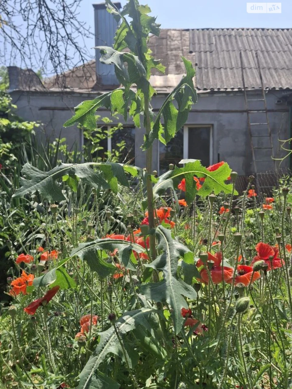Продаж Частина будинку Кайдаки