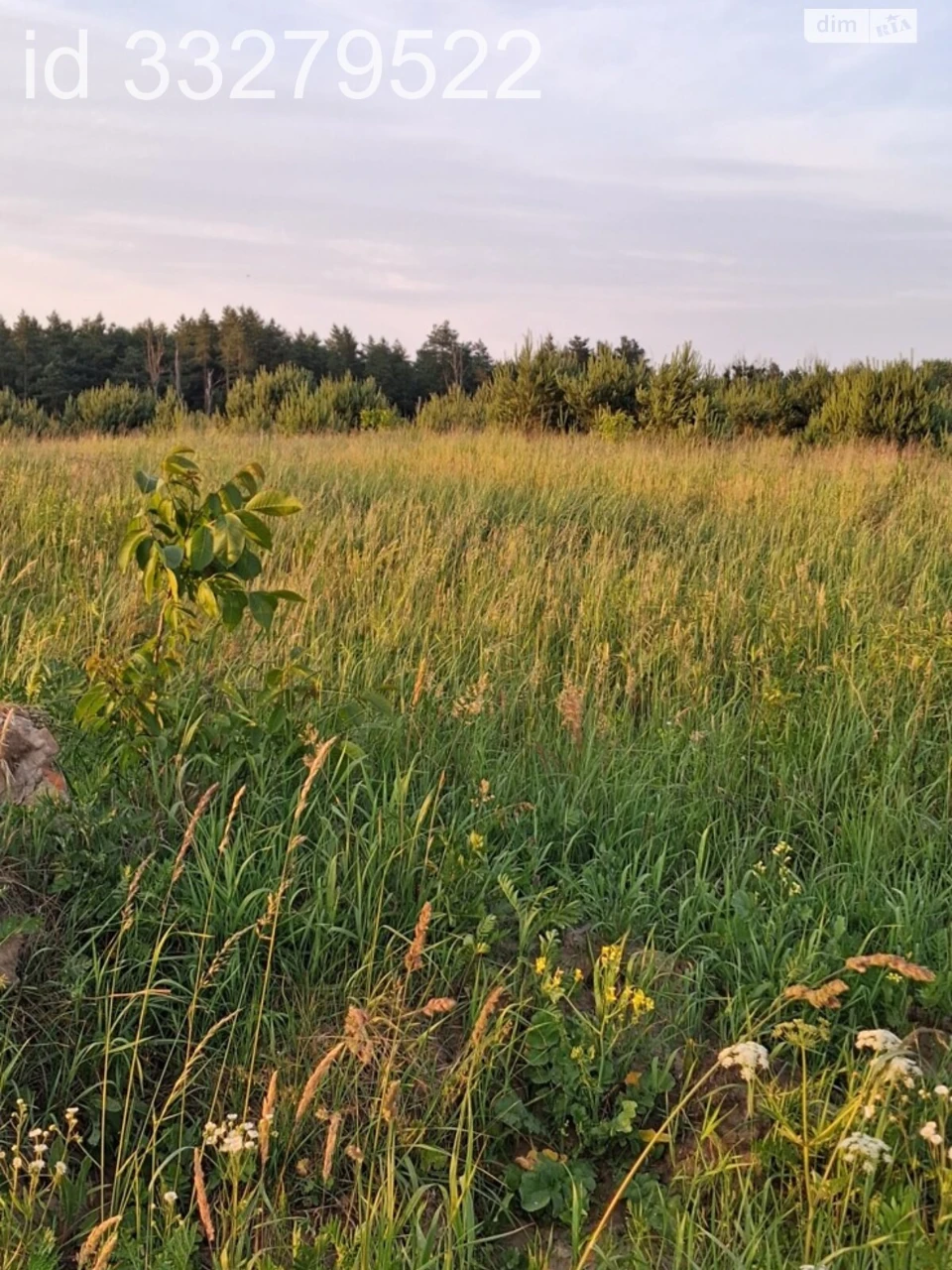 Продаж Земля сільськогосподарського призначення Шевченківськ