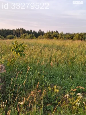 Продаж Земля сільськогосподарського призначення Шевченківськ