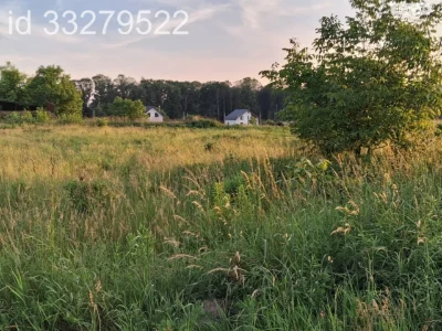 Продаж Земля сільськогосподарського призначення Шевченківськ