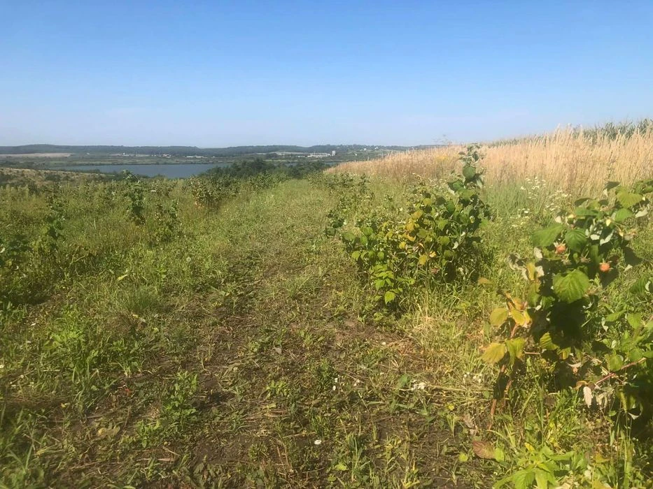 Продаж ділянки землі площею 2 га