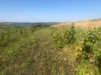 Продаж ділянки землі площею 2 га