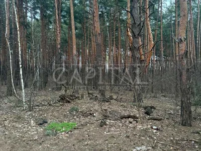 Ділянка. Київ,