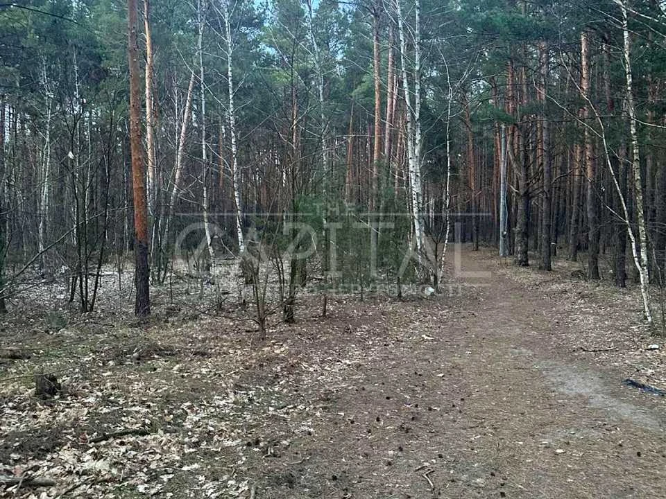 Ділянка. Київ,