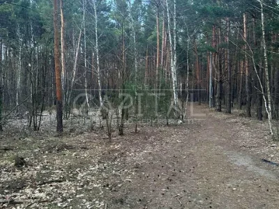 Ділянка. Київ,