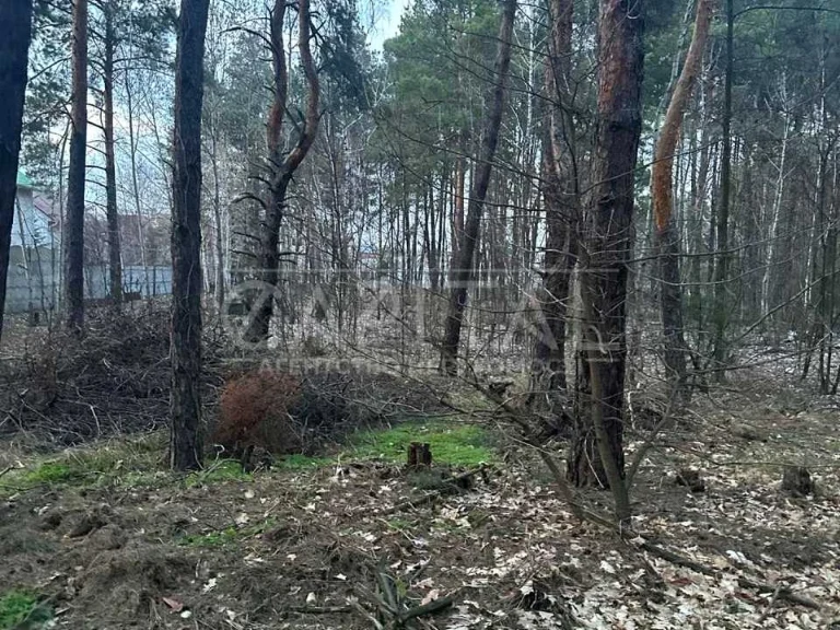 Ділянка. Київ,