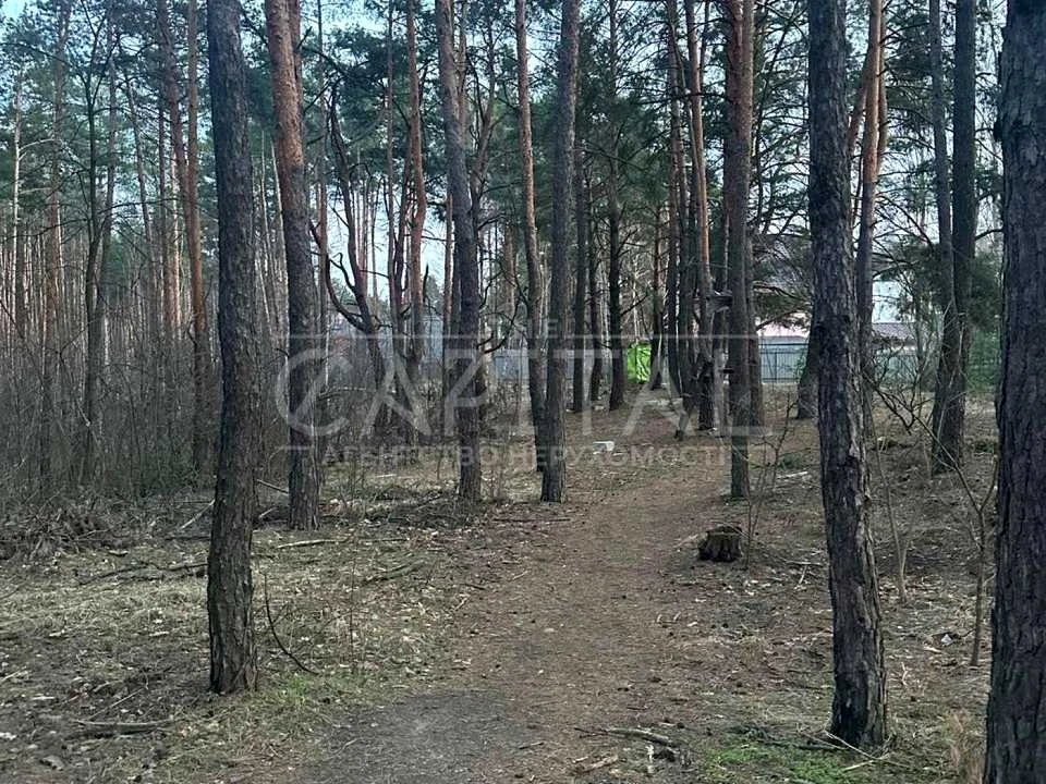 Ділянка. Київ,