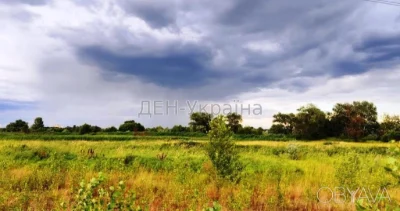 Участок коммерческого назначения, 5600 сотка