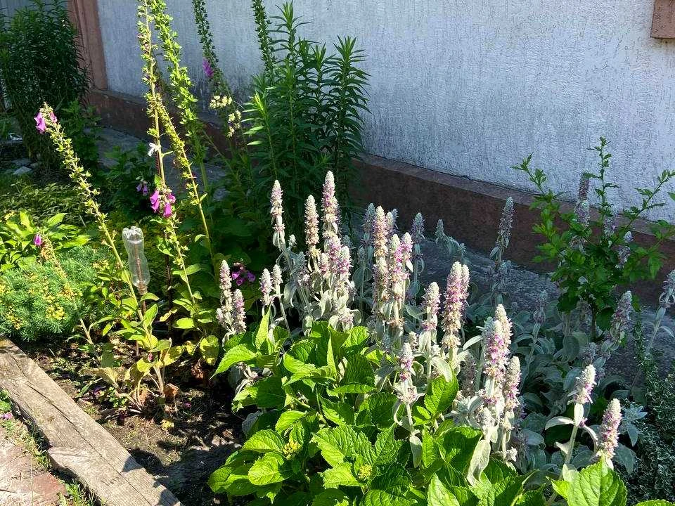 Ділянка. Київ, Юнацька вул.