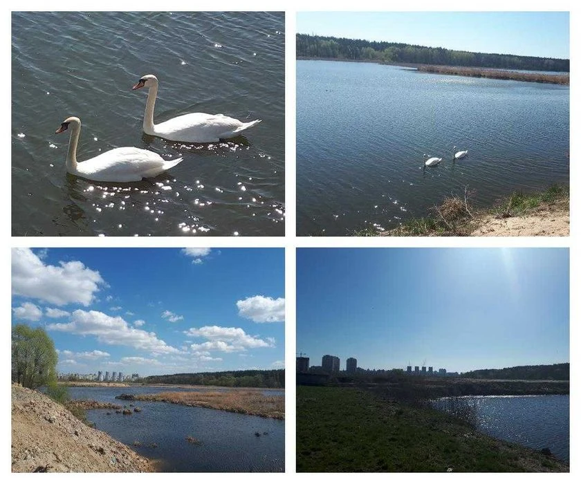 УНІКАЛЬНА видова ділянка на воду та ліс в Києві метро Академ