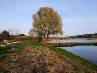 УНІКАЛЬНА видова ділянка на воду та ліс в Києві метро Академ