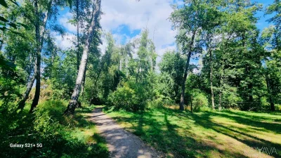 Продам 68 соток ОСГ в с.Севериновка с лесом на участке