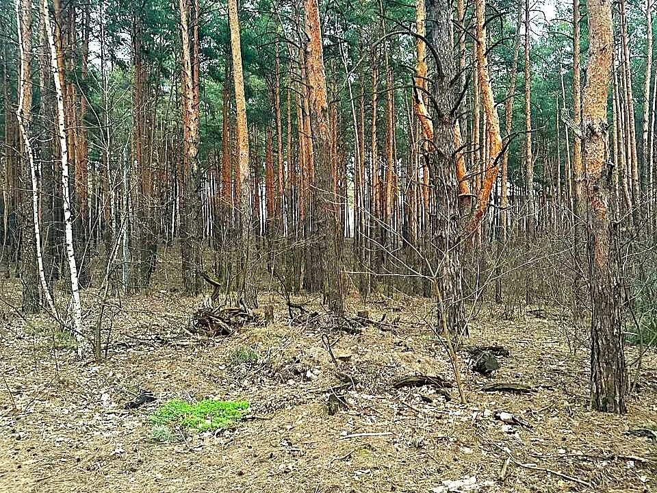 Ділянка. Київ, Дачний провулок