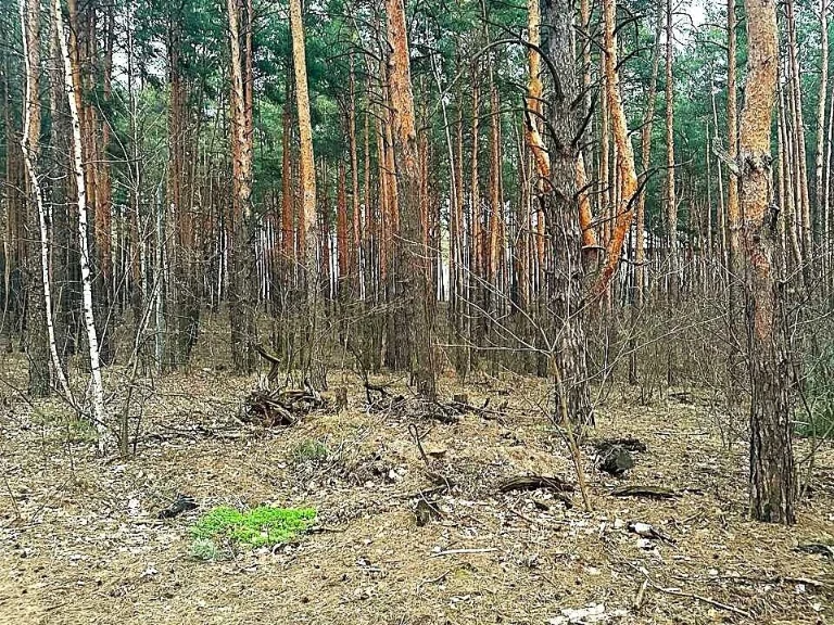 Ділянка. Київ, Дачний провулок