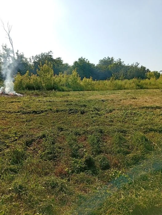 Продам земельну ділянку в місті Васильків.