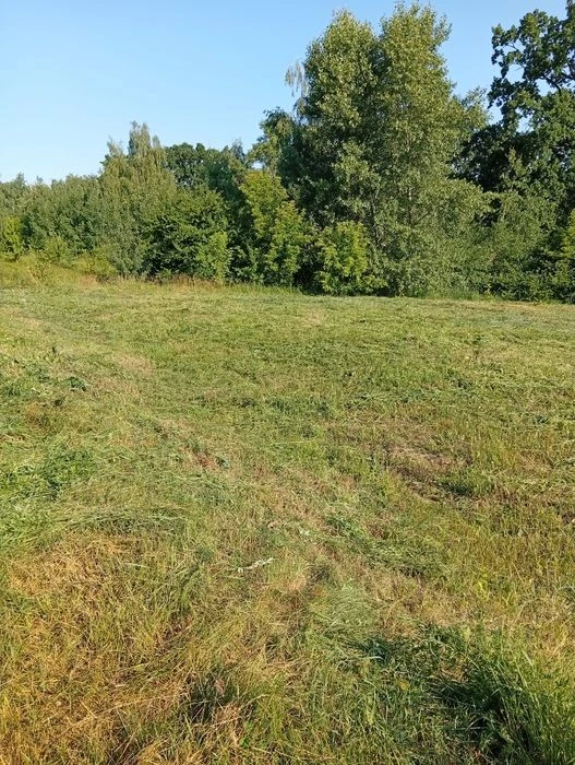 Продам земельну ділянку в місті Васильків.