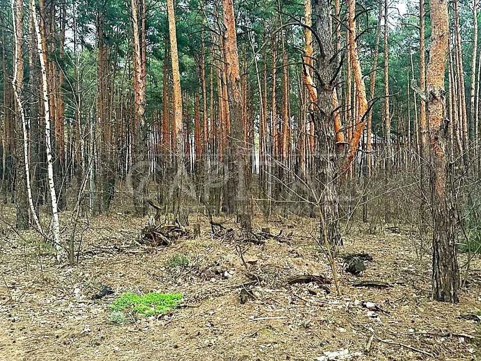 Ділянка. Київ,