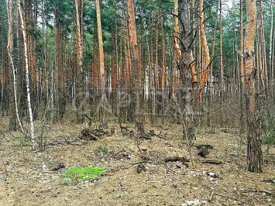 Ділянка. Київ,