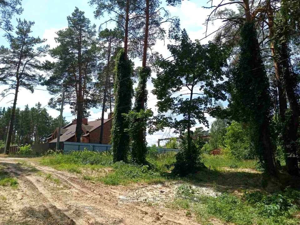 Ділянка. Київ, Радистів пров.