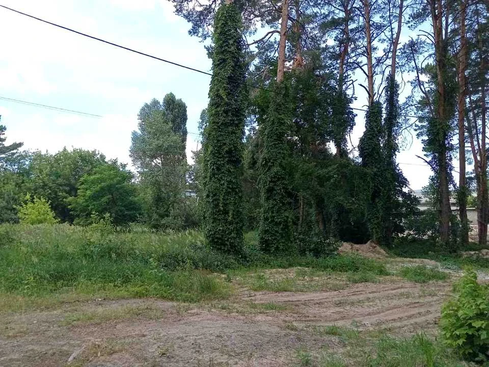 Ділянка. Київ, Радистів пров.