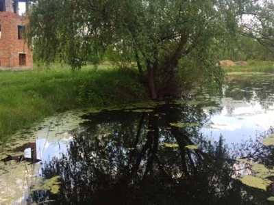 Ділянка. Київ,