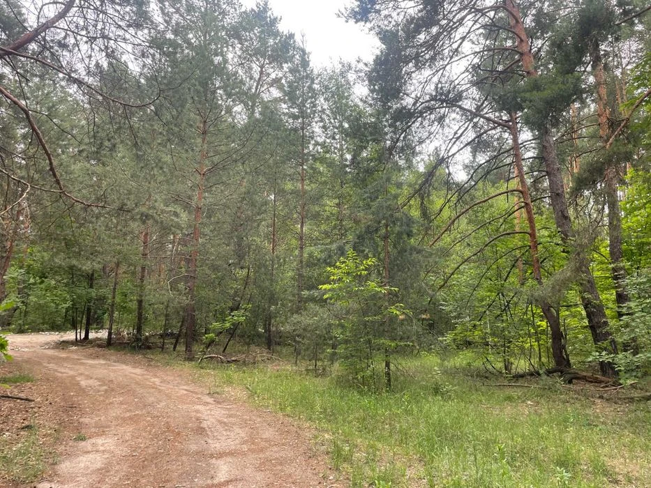 Срочно, красивый участок в лесном районе 10 сот, Быковня, Ки