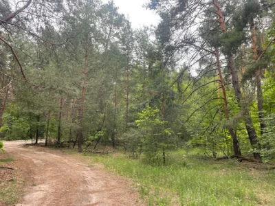 Срочно, красивый участок в лесном районе 10 сот, Быковня, Ки
