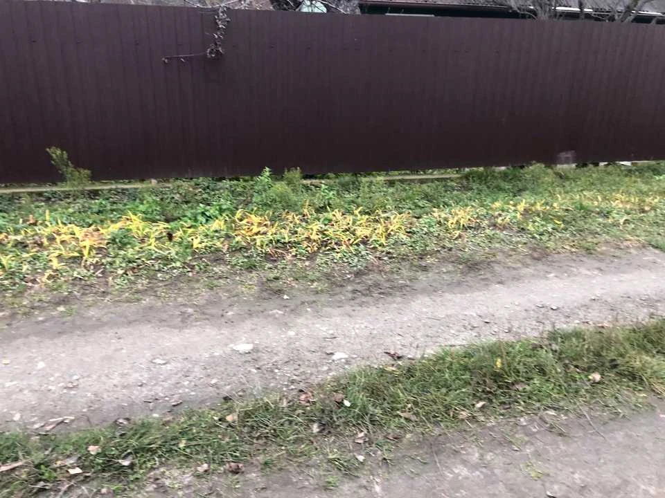 Ділянка. Київ,