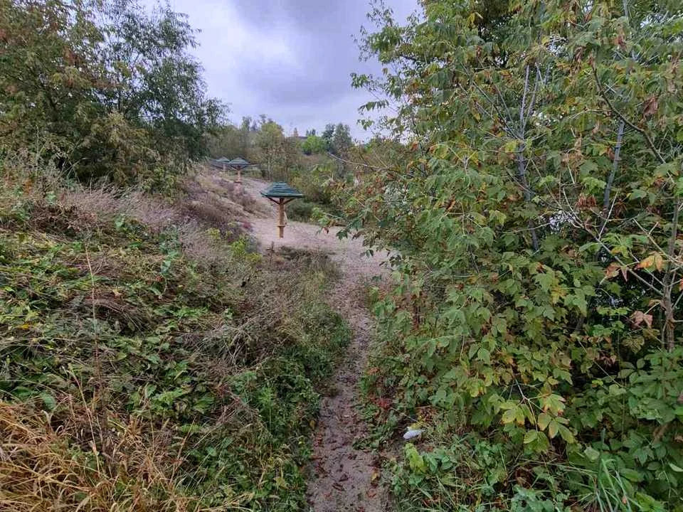 Ділянка. Київ, Острівна вул.
