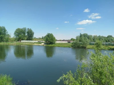Земельна ділянка Нижні Бортничі 8 соток