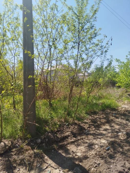 Земельна ділянка Нижні Бортничі 8 соток