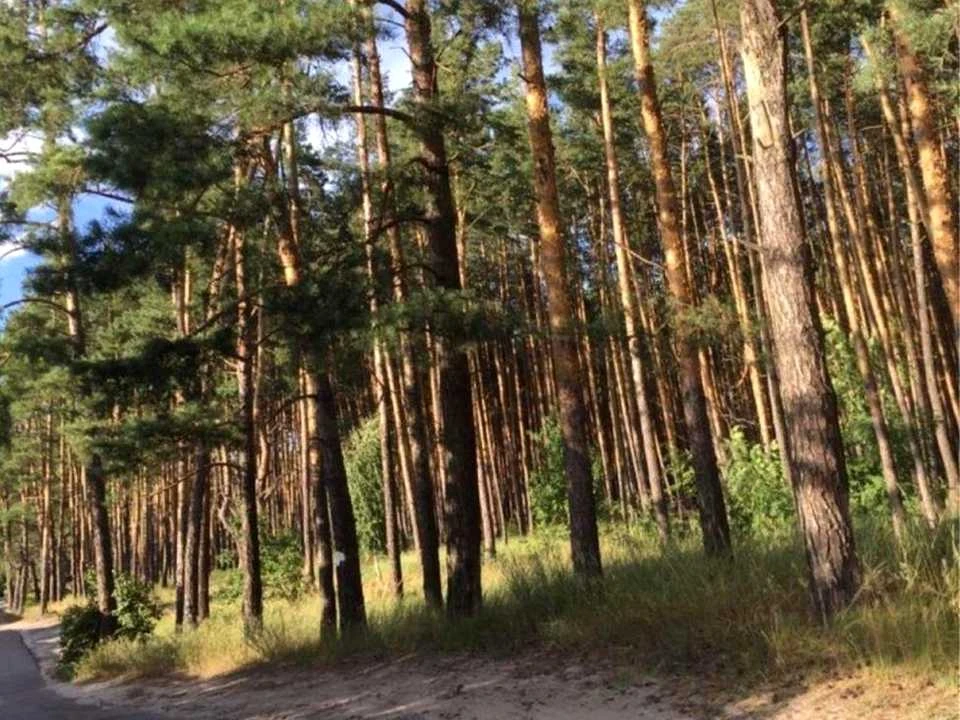 Ділянка. Київ, лаврова