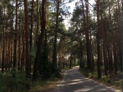 Ділянка. Київ, лаврова