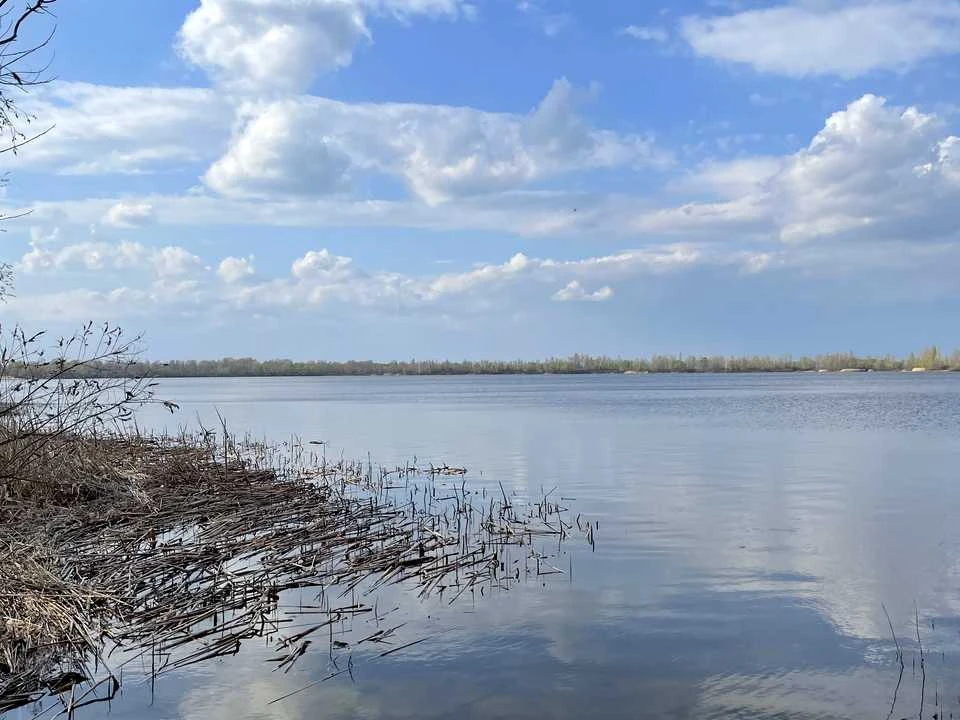 Ділянка. Київ, вул. Моложанська