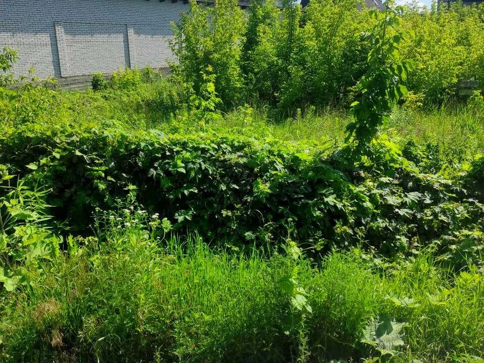 Ділянка. Київ, Риболовецька вул.