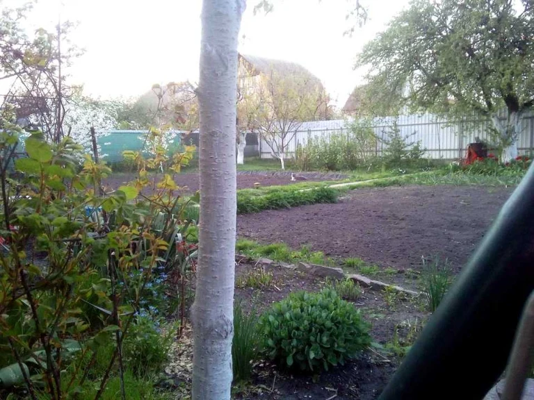 Ділянка. Київ,