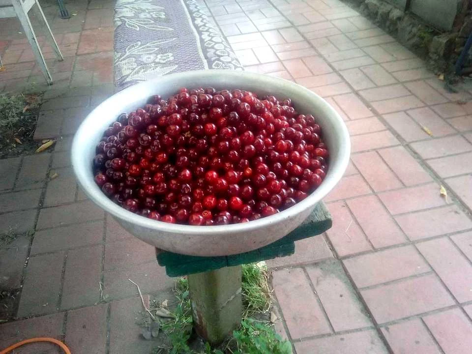 Ділянка. Київ,