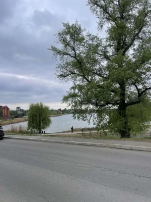 Кутова ділянка вул Райдужна   10 соток
