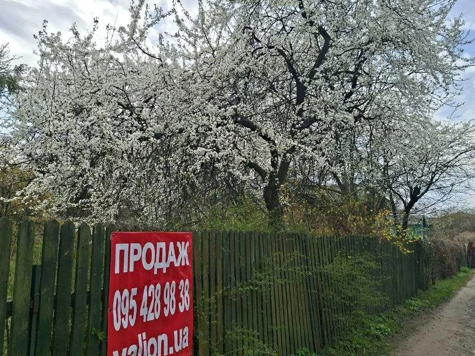 Ділянка. Київ, 24 Садова вул.