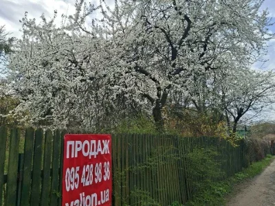Ділянка. Київ, 24 Садова вул.