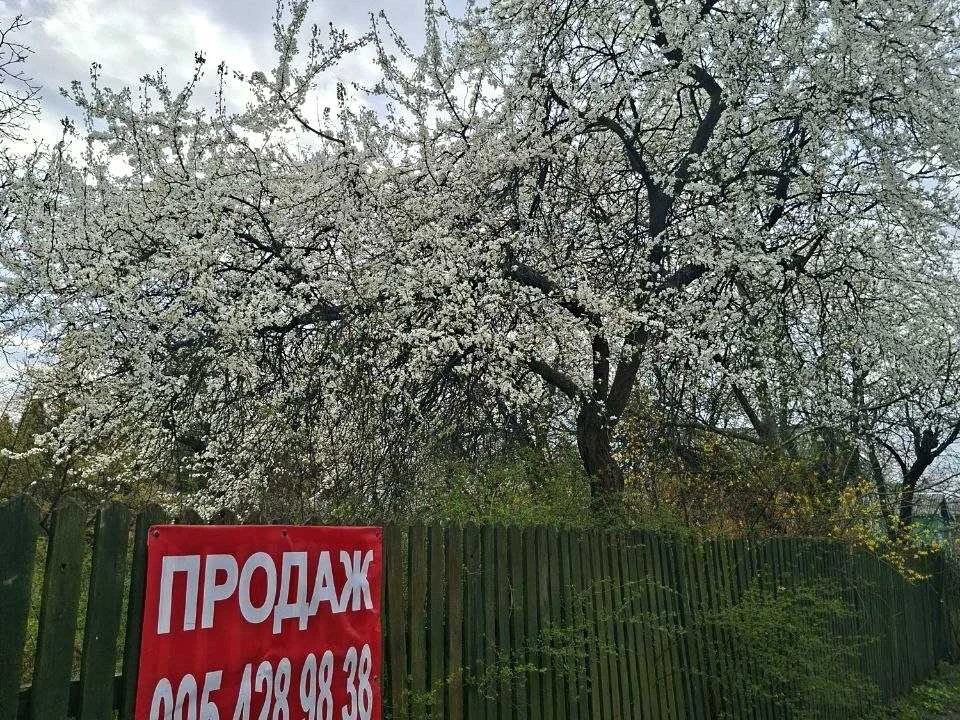 Ділянка. Київ, Садова вул.